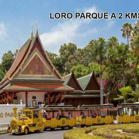 Apartamento Plaza Charco - Centro - Piscina Rooftop *