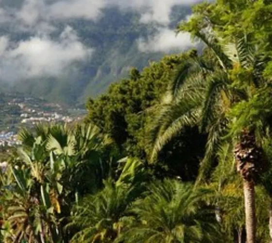 Plaza Charco - Centro - Piscina Rooftop *