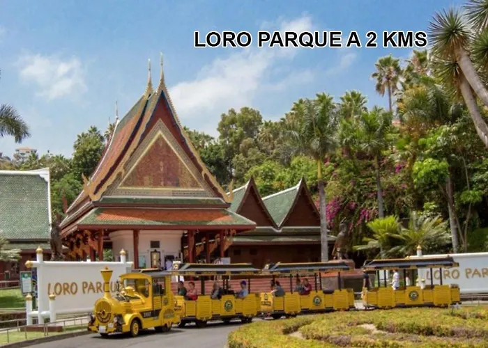 Appartamento Plaza Charco - Centro - Piscina Rooftop *